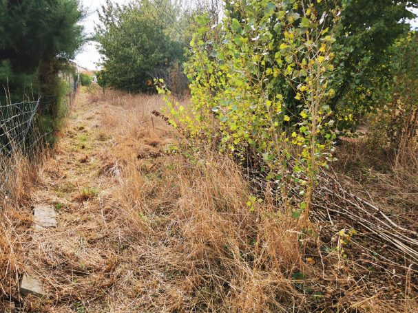 Terrain agence immobilière