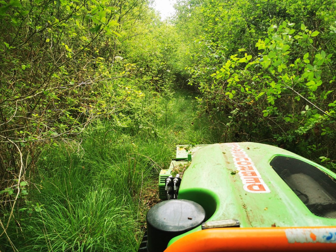 TOUR D'ÉTANG TOUR D'ÉTANG